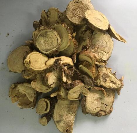 苦參 SOPHORAE FLAVESCENTIS RADIX